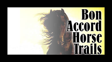 Bon Accord Horse trails, pretoria things to do