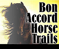 Bon Accord Horse Trails, Pretoria Horse Riding, Pretoria Things to do, Gauteng Horse Trails, Gauteng Horse Riding, Bon Accord Horse Trails, Onderstepoort Horse Riding, Onderstepoort Horse Trails, Onderstepoort things to do