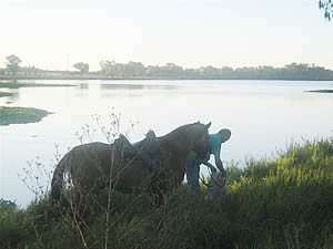 Pretoria Equestrian trails, Gauteng equestrian trails, Joburg equestrian trails