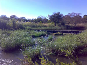 Horse trails in Gauteng