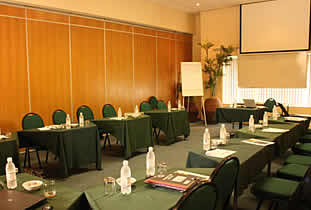 Conference venue , Gauteng