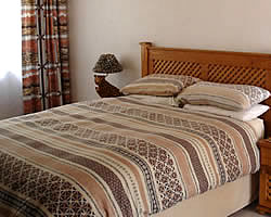 African Elephant guest house in Germiston accommodation provides accommodation near the Rand Airport