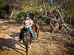 harties horse trails and safaris