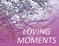 Loving Moments, Gauteng wedding, function and conference venues