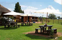 Saddle Creek Ranch, Things to do Gauteng, Horse Riding Gauteng, Magaliesberg Horse Riding Trails