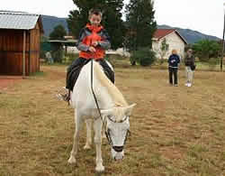 Saddle Creek Ranch, Things to do Gauteng, Horse Riding Gauteng, Magaliesberg Horse Riding Trails