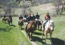 Saddle Creek Ranch, Things to do Gauteng, Horse Riding Gauteng, Magaliesberg Horse Riding Trails