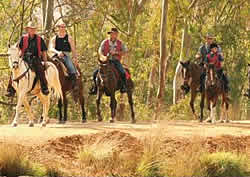 Saddle Creek Ranch, Things to do Gauteng, Horse Riding Gauteng, Magaliesberg Horse Riding Trails