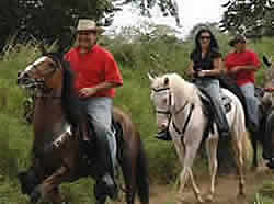Saddle Creek Ranch, Things to do Gauteng, Horse Riding Gauteng, Magaliesberg Horse Riding Trails
