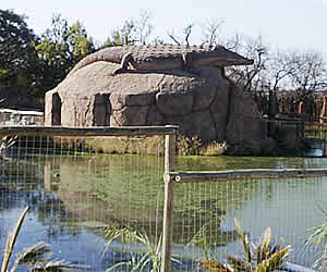 Crocodile Adventures, Nature tours in Gauteng