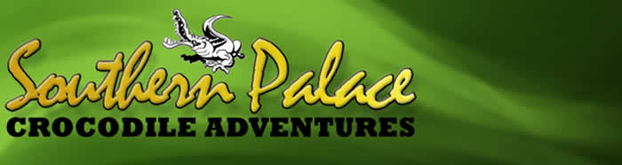 Crocodile Adventures, Crocodile cage diving in Gauteng