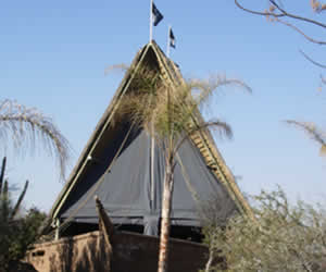 Gauteng restaurants