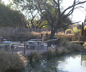Crocodile trails in Gauteng, Crocodile trails in Joburg