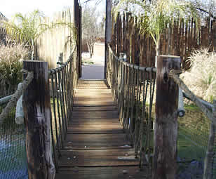 Southern Palace Crocodile Adventures, Johannesburg Crocodile tours, Crocodile Tours in Gauteng