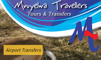 Gauteng Airport transfers
