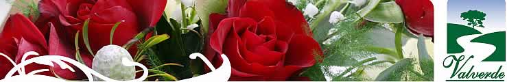 Valverde Country Hotel - Accommodation Gauteng - Johannesburg Accommodation - Muldersdrift Accommodation - B&B Muldersdrift - Johannesburg Wedding Venues