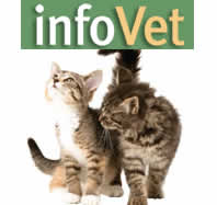 Northrand Road Animal Hospital in Boksburg at InfoVet