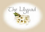 Edenval Accommodation - Edenvale B&B - Lilypad B& B