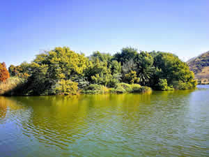 Germisston lake