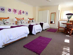 Dove’s Nest Guest House affordable 2-star guest house