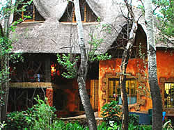 Outside the Goblin's Cove Restaurant in Magaliesburg, is the Fairy Grove, a magical place for kids and adults alike,