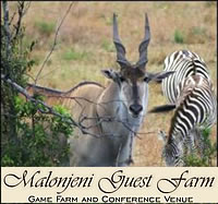 Malonjeni Guest farm accommodation in Meyerton