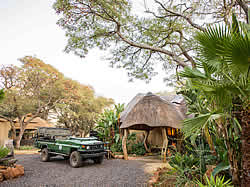  Mziki Safari Lodge in Rustenburg for a wildlife experience
