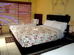 Lihle Bed and Breakfast offers 3 en-suite bedrooms for executive businessmen and women and overnight visitors to Soweto. 