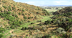 Suikerbosrand Nature Reserve 