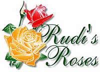 Rudi's Roses is the second largest rose growers in South Africa 