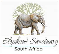 Elephant Sanctuary in CradleofHumankind Gauteng South Africa