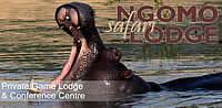 n’Gomo Safari Lodge tented camp accommodation in the Cradle of Humankind nature reserve