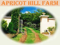 Apricot Hill Farm