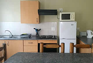 tourists and business travelers in Edenvale Gauteng